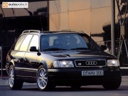 Audi 100 Avant (44,44Q)